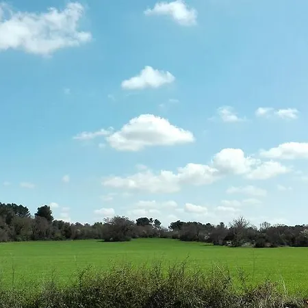 Ada *